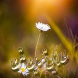 متن طلایی