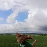 ˖ ׅ ֗ aliseforesty