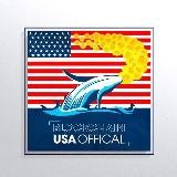 Blockchain Usa Official ( Binance ) 🐋