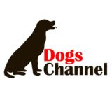 Dogs Channel