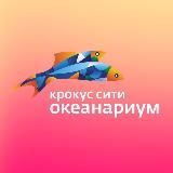 Крокус Сити Океанариум
