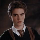 Diggory's diary.