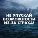 Аппарат власти