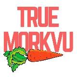 True Morkvu. Ник Панаев и Такие Лапки