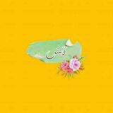 وَنَسٌ ..♡