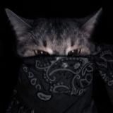 BAGURK4