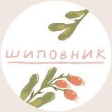 шиповник ⚘