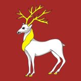 Новости Ростова