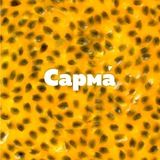 Сарма