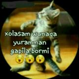 #Karantın...