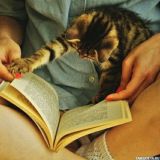 ✅КНИЖНЫЙ ШКАФ✅
