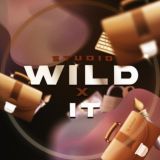 🧑💻 | Wild It Studio | Программирование | Дизайн | Кодинг | Разработка | Интерфейс | UX|UI
