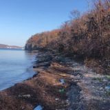 Чистый Владивосток