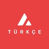 Avalanche - (Türkçe)