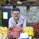 Природный лекарь. Ароматерапия Жизнь без лекарств, с эфирными маслами doTerra. Обучение и консультации