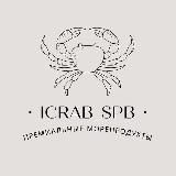 ICRAB SPB и РАКОВАЯ 1