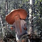 Чат "Грибные_Мистерии"