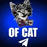 Only Pets