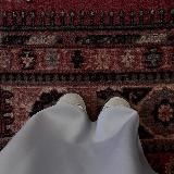 sa’ada
