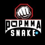 POPMMA_SNAKE