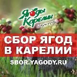 SBOR.YAGODY.RU