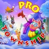 PRO Township