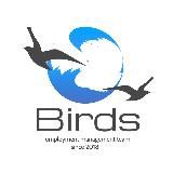 BIRDS - работа за границей