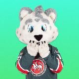 Барсик тут 🐾
