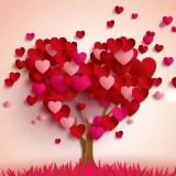❣️Любима мужем❣️