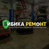 Орлов Бибика| Агрегатный ремонт