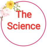 The Science | Наука