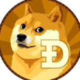 Doge | Chia RuNews