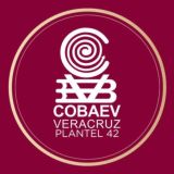 COBAEV 42 Canal oficial🐯🐯🐯