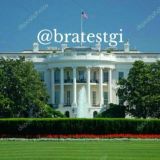 White House DV