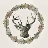 Germanic Paganism