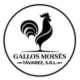 Gallos Moises Tavarez