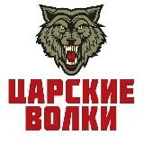 "БАРС-САРМАТ" Центр специального назначения (добровольческий, беспилотных систем)