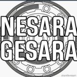 NESARA/GESARA