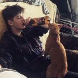 ISAEV