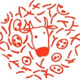 Fundación iO Alertas