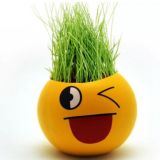 Мой сад🌱