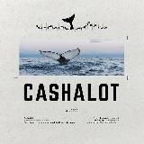 Cash a Lot