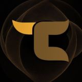 Combat Capital Markets کامبت کپیتال