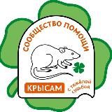 Сообщество помощи крысам с тяжелой судьбой