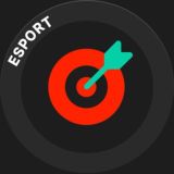 PINCO Esports