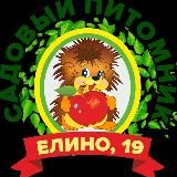 ПИТОМНИК РАСТЕНИЙ ЕЛИНО 19