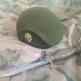Хроники последних Мобилизованных