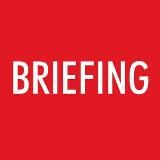 BRIEFING world