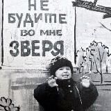 🕸️Трезвый Движ🍃