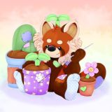 Sprout Panda Studios